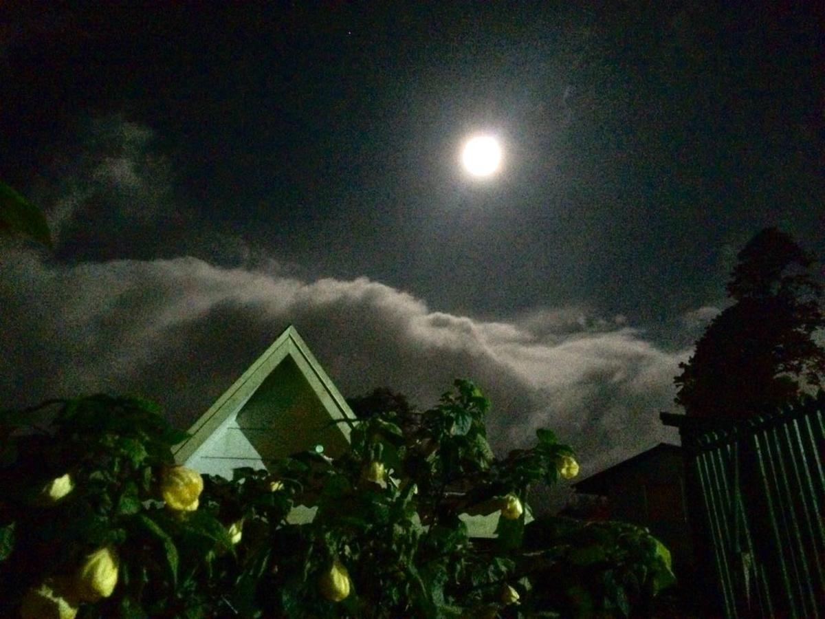 Hortensias Chalets Vara Blanca هيريديا المظهر الخارجي الصورة