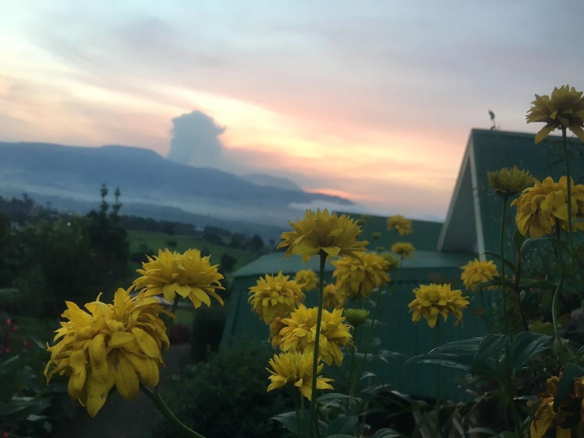 Hortensias Chalets Vara Blanca هيريديا المظهر الخارجي الصورة